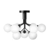 Apiales 9 Ceiling Taklampa | Satin Black/Opal