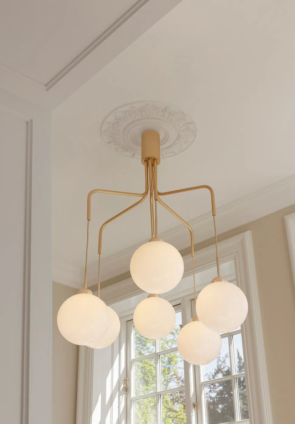 Apiales Cluster Taklampa | Brushed Brass/Opal