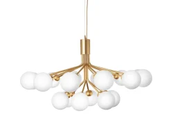 Apiales 18 Ljuskrona | Brushed Brass/Opal