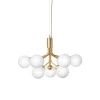 Apiales 9 Ljuskrona | Brushed Brass/Opal
