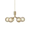 Apiales 6 Ljuskrona | Brushed Brass/Optic Gold