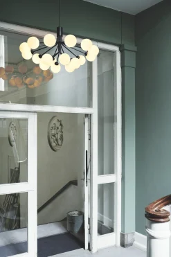 Apiales 18 Ljuskrona | Satin Black/Opal