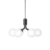 Apiales 9 Ljuskrona | Satin Black/Opal