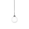 Apiales 1 Pendel Large | Satin Black/Opal