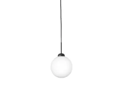 Apiales 1 Pendel Large | Satin Black/Opal