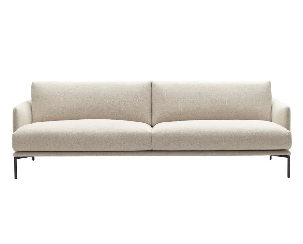 Baron Soffa 237