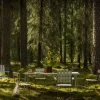 Bord B31 230 | Ljusgrön Lackad Ek, Svart
