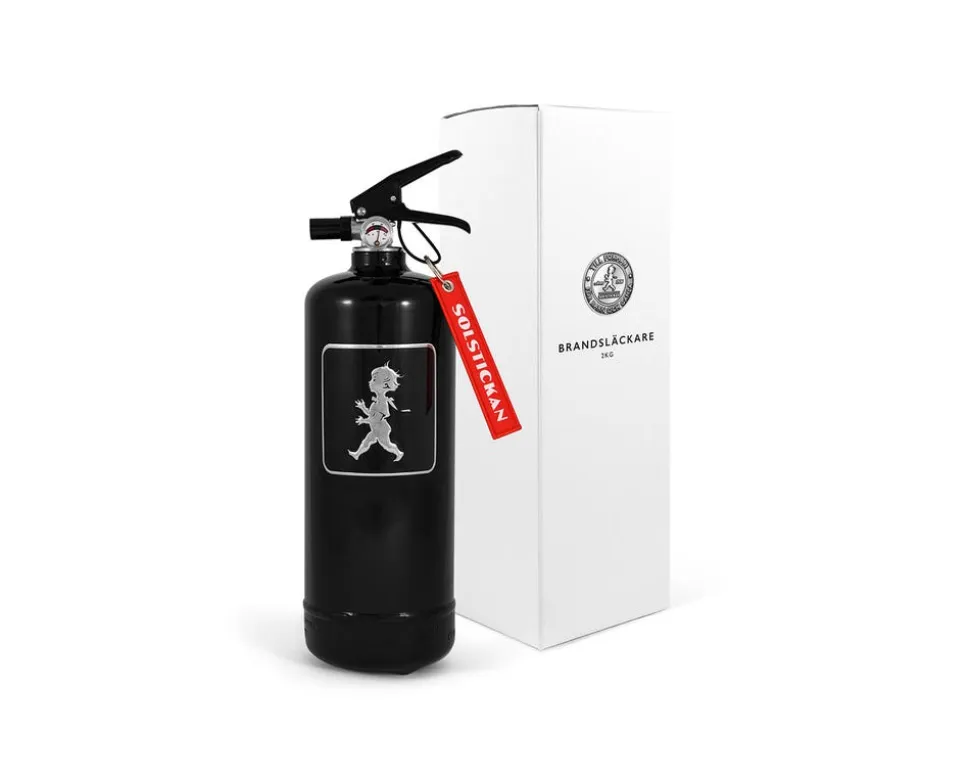 Brandsläckare Svart/Silver 2 kg
