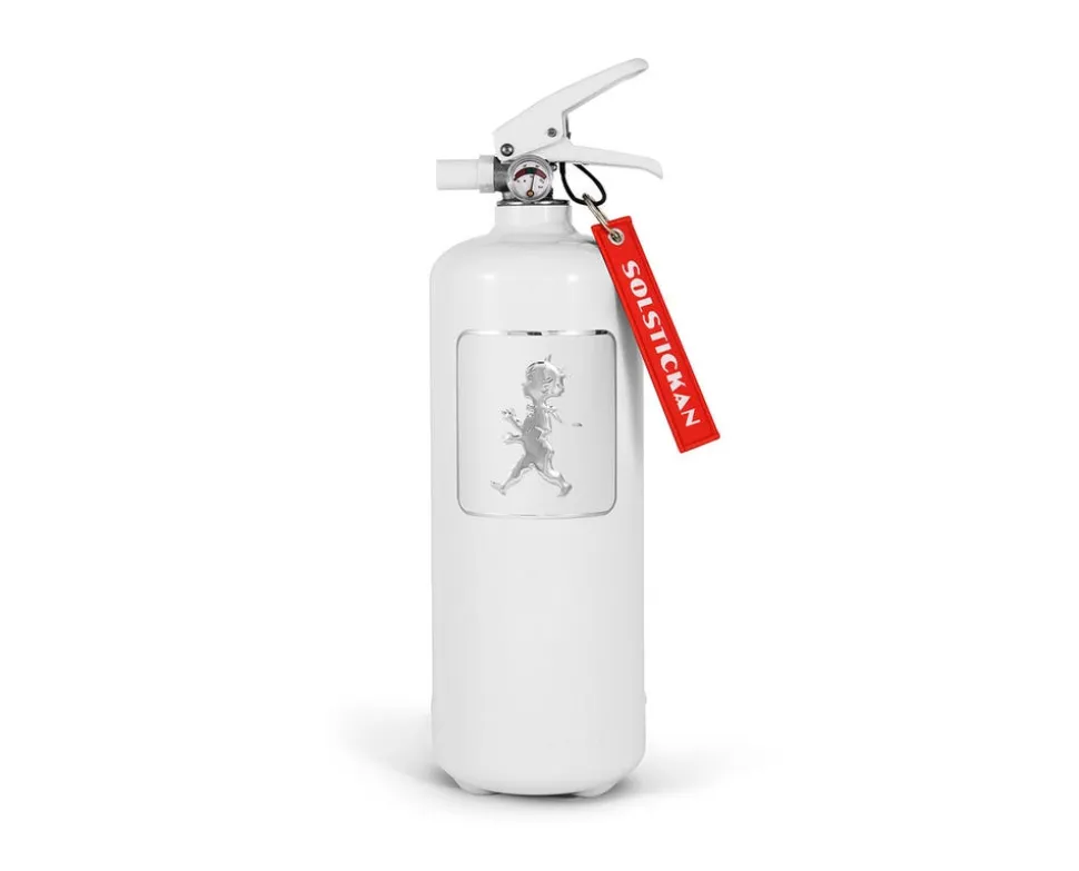 Brandsläckare Vit/Silver 2 kg