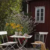 Bryggeristol | Vitlackad Ek