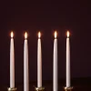 Constella Giftbox | Mässing