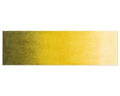 Dis Dörrmatta | 85x250 Moss