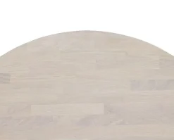 Filippa Matbord | Ovalt 170 Vitpigm. Ek