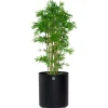 Grow Planter Ø54 | Lava Grey/ Light Grey