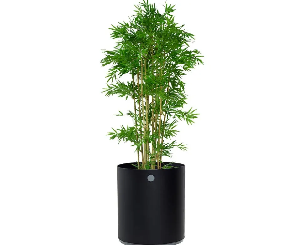 Grow Planter Ø54 | Lava Grey/ Light Grey