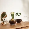 Grow Växthus | Medium