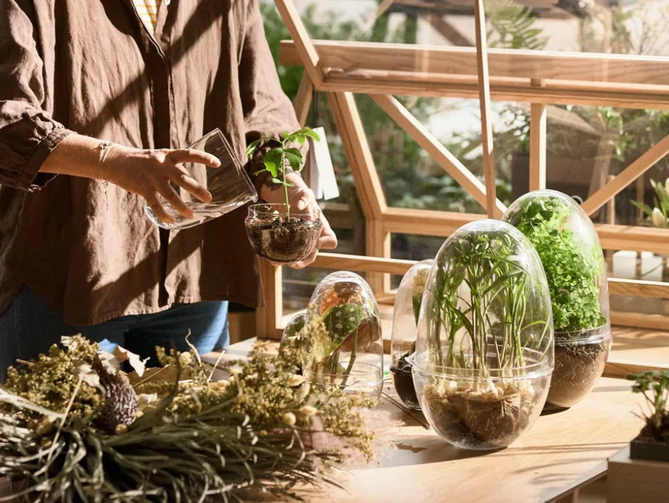 Grow Växthus | Medium