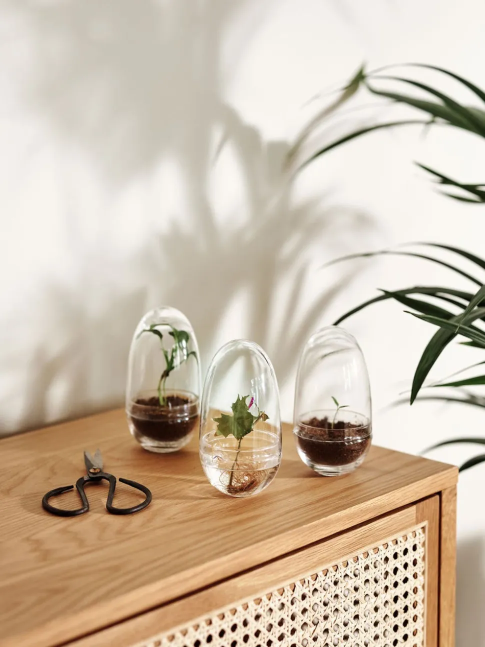 Grow Växthus | Small