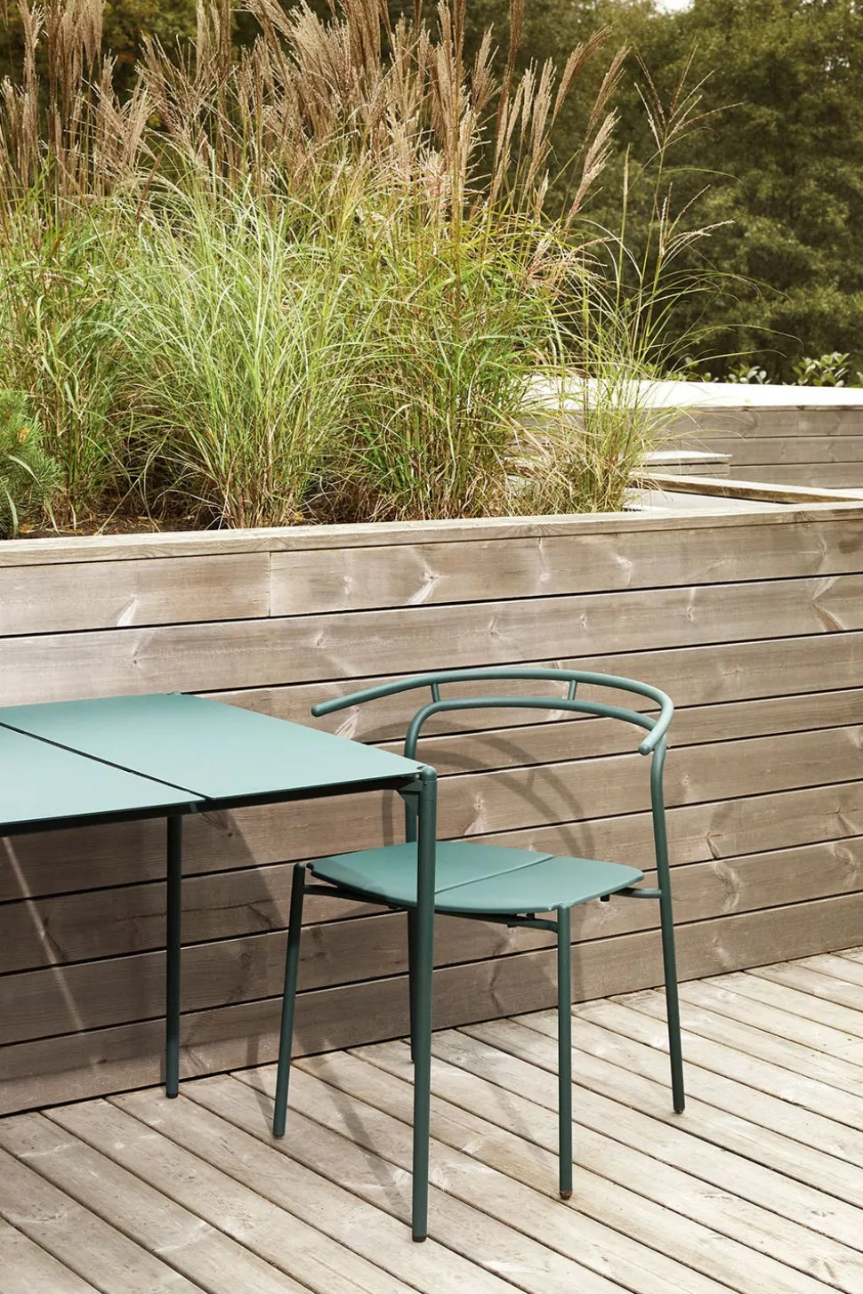 Novo Bord 240x90 | Forest