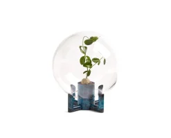 Orb Vas | Liten