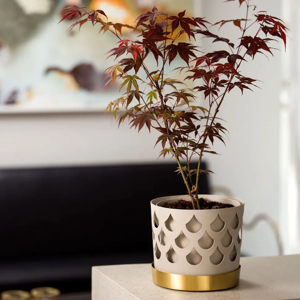 Trio Drop Blomkruka | Liten | Beige