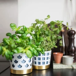 Trio Square Kruka | Liten | Vit
