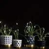 Trio Square Kruka | Mellan | Vit