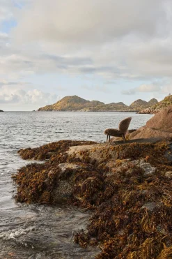 Vipp 469 Lodge Lounge Chair | Fårskinn Curly 07